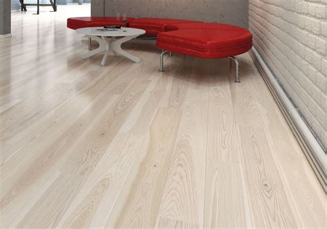 Jaseň (20 fotografií): ako vyzerajú stromy a listy? Opis jaseňa bieleho ...