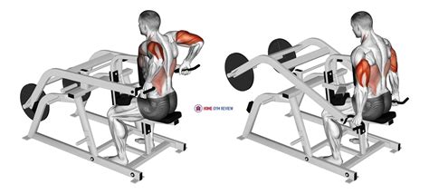 Lever Triceps Dip Plate Loaded Home Gym Review