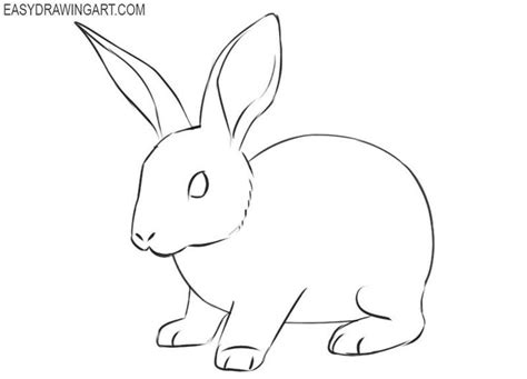 How To Draw A Rabbit Rabbit Drawing Bunny Sketches Rabbit Drawing