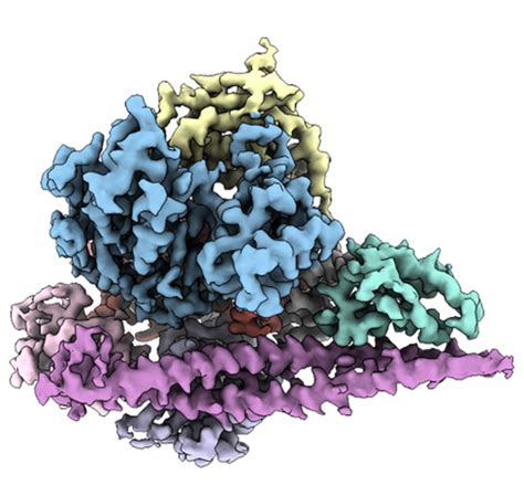 Three dimensional PI3Kα IMAGE EurekAlert Science News Releases