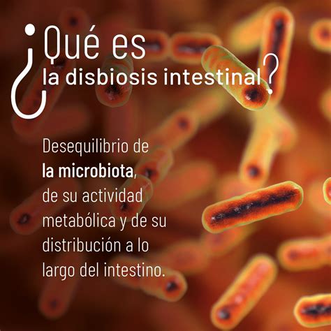 Consejos Sobre Disbiosis Intestinal