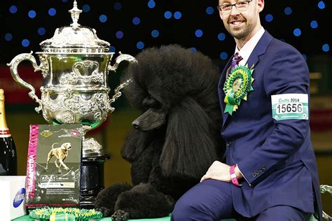 When is Crufts 2017? Dog show TV schedule, tickets, and where to watch ...