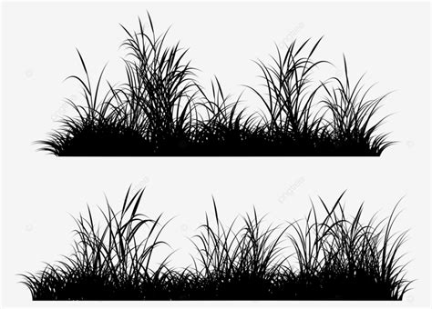 Grass Silhouette Vector Meadow Grass Grass Silhouette Png And Vector