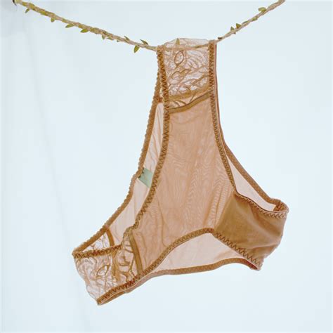 Brown Nude Bikini Hipster Panty Mesh Lace Sheer Brief Tiger Lace Hipster Leavers Lace Lingerie