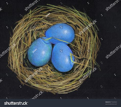 Drawing Birds Nest With Eggs