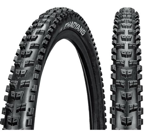 Llanta De Bicicleta 29 X 2 35 Chaoyang Rock Wolf Tubeless Cuotas Sin