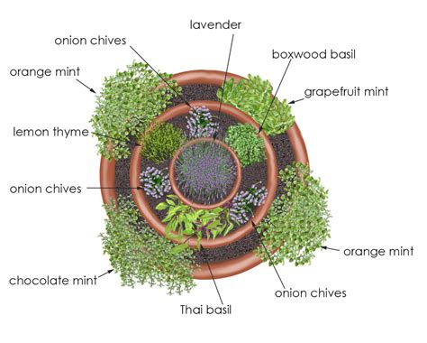 Container Herb Garden Layout A Guide To Creating A Thriving Herb Haven