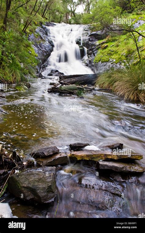 Beedelup Falls At Beedelup Brook In The Karri Forests Of Beedelup