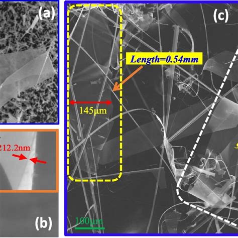 Sem Images Of Synthesized Ga O Nanobelts With Different Widths A