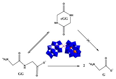 Molecules Free Full Text Recent Advances Of Ti Zr Substituted