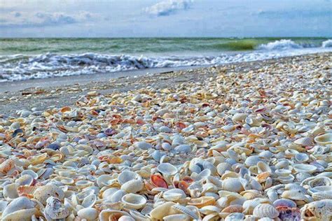 Sanibel Island Gulf Of Mexico Gulf Coast Living Best Us Beaches