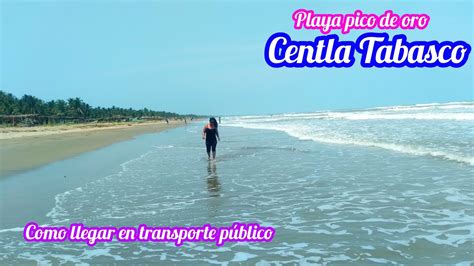 Playa Pico De Oro Centla Tabasco Que Hacer Y Como Llegar En Autobus