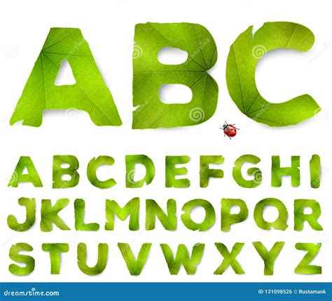 Vector Alphabet Letters Made From Green Leaves Stock Vector