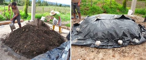 Compostaje Tipos De Compost Que Existen Y Sus Diferencias