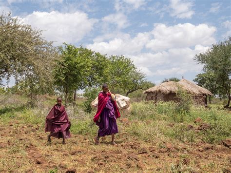 Maasai Food Cow S Blood To Ugali The Roaming Fork