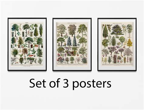 Forest Wall Art Wall Tree Poster Tree Set of 3 Prints Tree - Etsy Canada