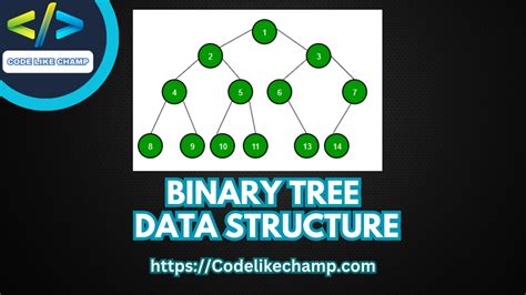 Binary Tree - CodeLikeChamp