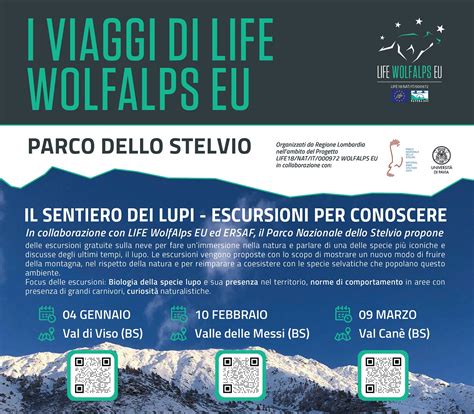 Il Sentiero Dei Lupi Escursioni Per Conoscere Parco Nazionale Dello