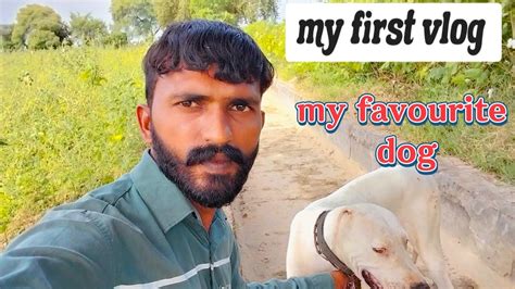 My First Vlog 🥰 My Favourite Dog Viral Video Youtube