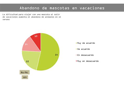 Abandono De Mascotas 8 De Cada 10 Personas Cree Que Se Acentúa En Las