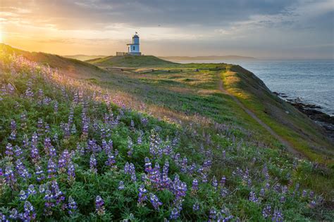 Cattle Point Spring Sunrise Cattle Point San Juan Island Washington