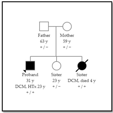 Cardiogenetics Free Full Text Reassessment Of Gene Elusive Familial