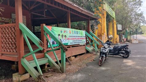 Makin Populer Wisata Hutan Pelawan Namang Perlu Perbaikan Gerbang