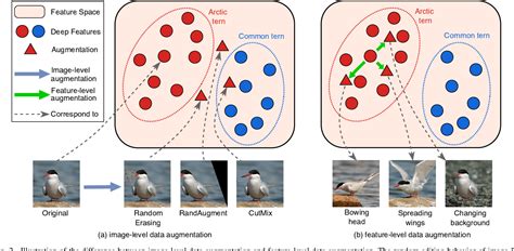 Figure From Fine Grained Recognition With Learnable Semantic Data