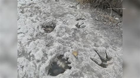 Never Before Seen Tracks Exposed At Dinosaur Valley State Park Wfaa