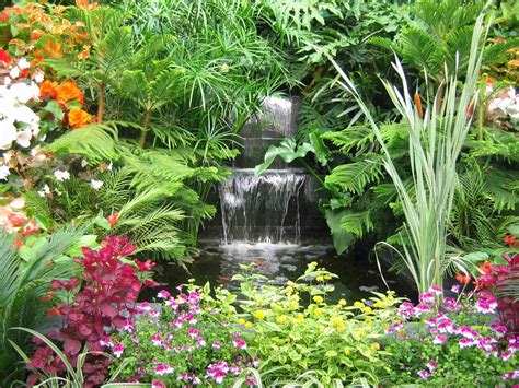 Tropical Waterfalls And Ponds