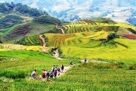 D N Hanoi Halong Sapa Fansipan Peak K I A Tours Travels