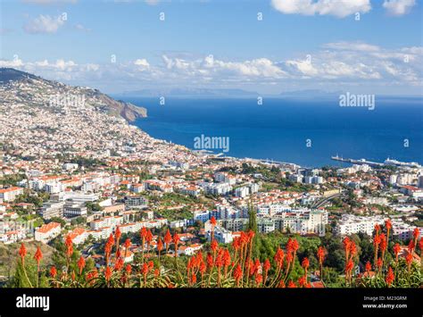 Funchal Port Hi Res Stock Photography And Images Alamy