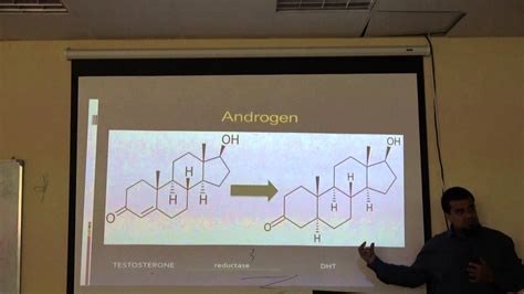 Physiology And Biochemistry Male Sex Hormones Part 1 Youtube