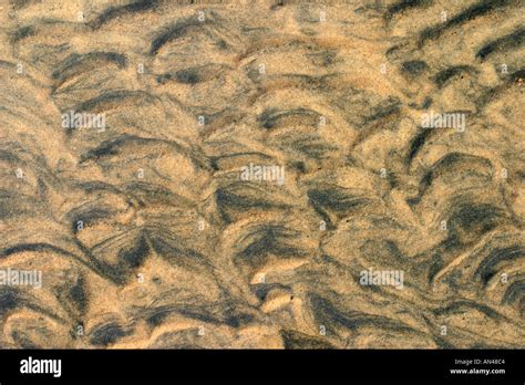 Multiple Watermark Hi Res Stock Photography And Images Alamy