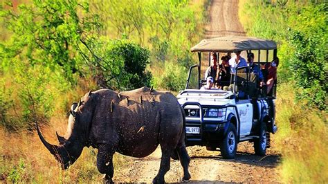 Kaziranga Tour Packages Osr Vacation