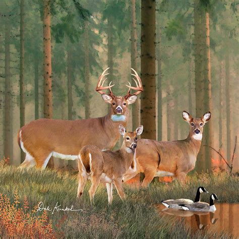 Whitetail Deer Art Morning Glory Portrait Painting By Dale Kunkel Art