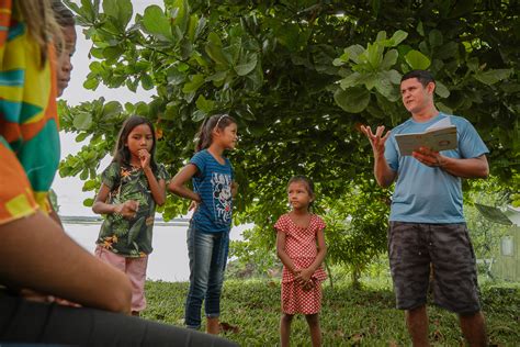 Por uma educação sobre e para a Amazônia Blog Virgilio Viana