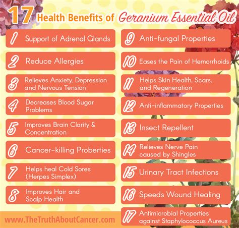 Healing Uses Of Geranium Essential Oil