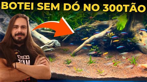 SOLTEI MUITOS PEIXES NO 300TÃO Mr Betta YouTube