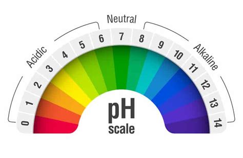 What is the pH of Soft Water? (Everything You Need to Know)