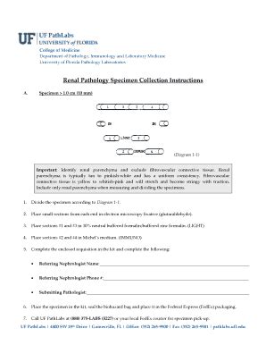 Fillable Online Pathlabs Ufl Renal Biopsy Shipping Instructions