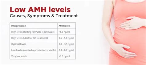 Low Amh Levels Causes Symptoms Treatment Aveya