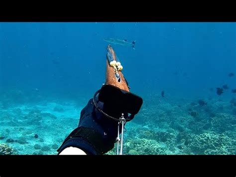 Hawaii Spearfishing Kaku Catch And Cook Youtube