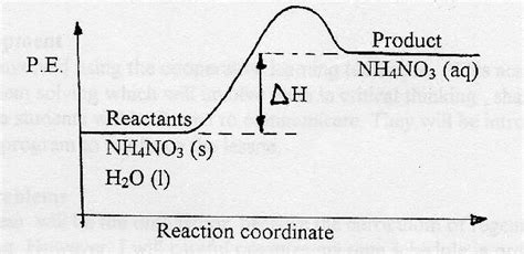 Exothermic And Endothermic Changes