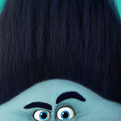 branch trolls outfit