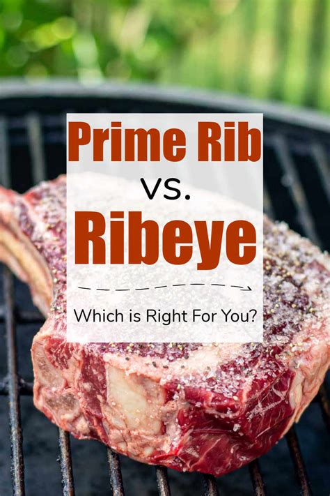 Prime Rib Vs Ribeye: What's the Difference? - Kitchen Laughter