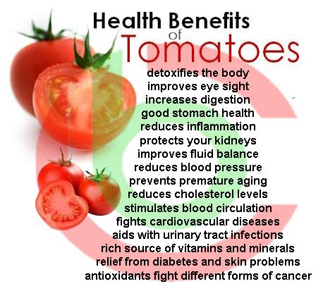 16 Plus Health Benefits of Planting Tomatoes – Popular Bulgarian Sort ...