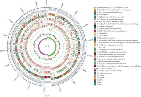 A Circular Genome Map Of Strain By6 The Outermost Circle Represents Download Scientific