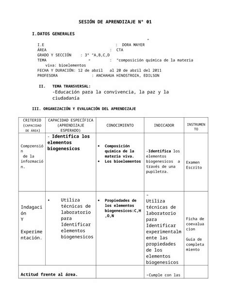 DOCX SESIÓN DEBIOELEMENTOS corregido DOKUMEN TIPS