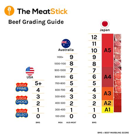 Beef Grading Systems In The World With Complete Chart